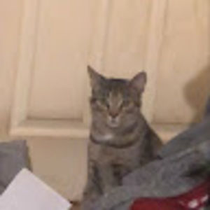 Meet your Posher, Jared